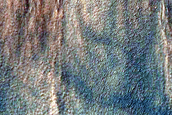 Gully Monitoring