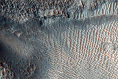 Gully Monitoring