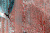 Dune Monitoring in Davies Crater