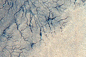 Spiders Along Polar Layered Deposits Outlier on Ejecta Blanket