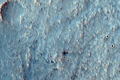 Fan in Terra Cimmeria