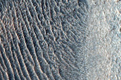 Multiple Ridges with Different  Volcanic Morphology