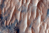 Slope and Gully Monitoring
