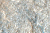 Monitoring Linear Dune Gullies in Green Crater Dune Field