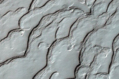 South Polar Residual Cap Monitoring