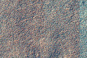 Terrain Sample
