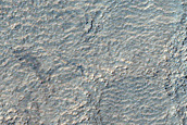 Hellas Planitia