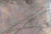 Candidate Recent Impact Site