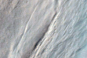 Gully Monitoring