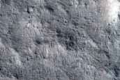 Candidate Recent Impact Site