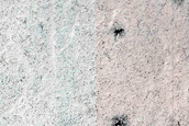 Gullies and Spiders and Dune Monitoring