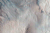 Possible Gully-Associated Light-Toned Materials near Gorgonum Chaos