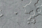 Seasonal Monitoring of Features