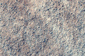 Light-Toned Crater Floor South of Hellas Planitia