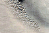 Candidate Recent Impact Site