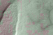 South Polar Residual Cap Monitoring