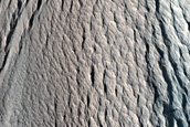 Lycus Sulci Terrain Sample