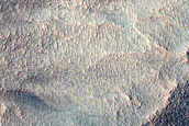 Scarp Monitoring