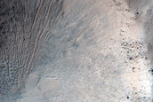 Gully Monitoring