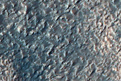 Channels in Newton Crater