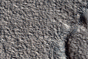 Proposed Site for Future Exploration in Phlegra Montes
