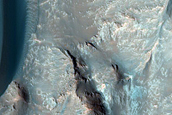 Dune Field