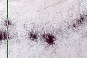 Terrain Sample