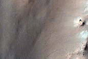 Gully Monitoring