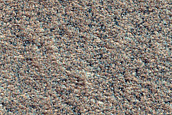 Proposed Site for Future Exploration in Phlegra Montes