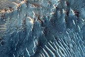 Dune Field