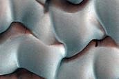 Dune Monitoring in Lyot Crater