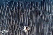 Light-Toned Deposits within Chaos Blocks of Western Iani Chaos