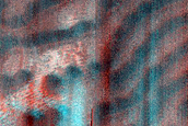 Dune Monitoring