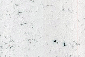 Spider Terrain