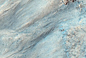 Gully Monitoring