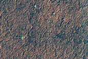 Isolated Spider Structures