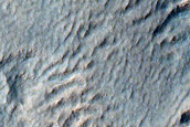 Gully and Scarp Monitoring