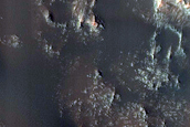 Dune Field