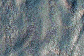 Gully Monitoring
