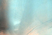 Dune Gully Monitoring in Proctor Crater
