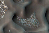 Dune Field