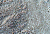 Gully Monitoring