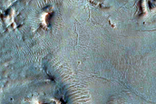 Gully Monitoring
