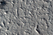 Candidate Recent Impact Site