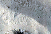 Frost Survey in Steep and Fresh-Looking Crater