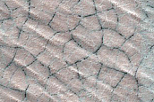 South Polar Perennial Ice Outlier Monitoring