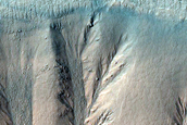 Gully Monitoring