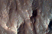 Gully Monitoring