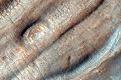 Southeast-Facing Gullies in Crater