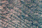 Monitoring of Scarp at McMurdo Crater for Mass Wasting